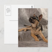 Duitse herder briefkaart (Voorkant / Achterkant)