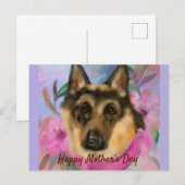 DUITSE HERDER     BRIEFKAART (Voorkant / Achterkant)