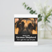 Duitse herder briefkaart (Staand voorkant)