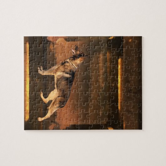 Duitse herder Brown Puzzle Legpuzzel (Horizontaal)