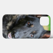 Duitse Herder Case-Mate iPhone Case (Achterkant (horizontaal))
