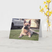 Duitse herder, de Waakzame Hond van de Minnaar van Kaart (Gele Bloem)