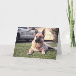 Duitse herder, de Waakzame Hond van de Minnaar van Kaart