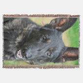 Duitse Herder Deken (Voorkant)