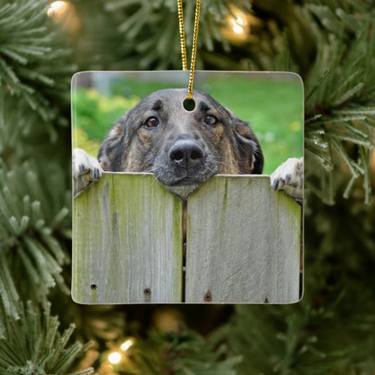 Duitse herder die over hek kijkt keramisch ornament (Boom)