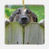Duitse herder die over hek kijkt keramisch ornament (Voorkant)