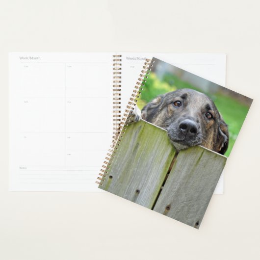 Duitse herder die over hek kijkt planner (Display)