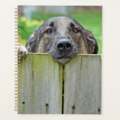 Duitse herder die over hek kijkt planner (Voorkant)