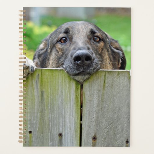Duitse herder die over hek kijkt planner (Voorkant)