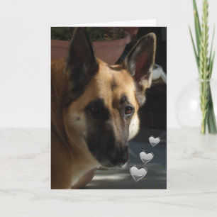 Duitse herder draait nog steeds mijn hoofd Valenti Feestdagen Kaart