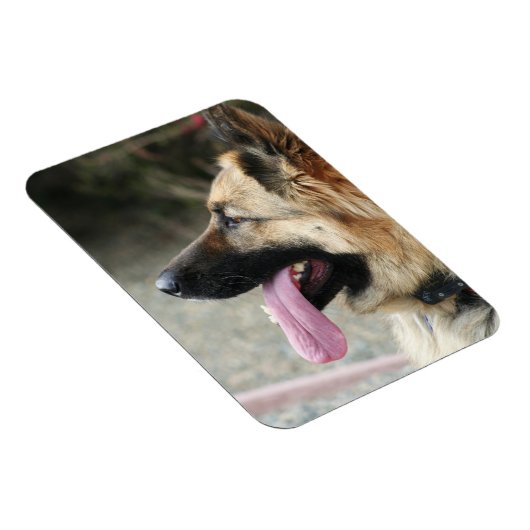 Duitse Herder flexibele fotomagneet Magneet (Rechterzijde)