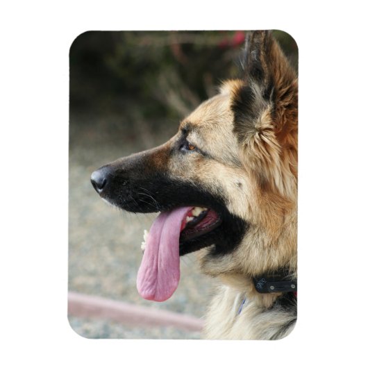 Duitse Herder flexibele fotomagneet Magneet (Verticaal)