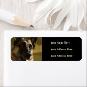 Duitse herder foto Adresetiketten Etiket (Insitu)