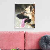 Duitse herder galerij wrap canvas print (Insitu (Woonkamer))