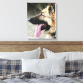 Duitse herder galerij wrap canvas print (Insitu (Slaapkamer))