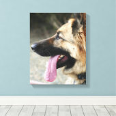 Duitse herder galerij wrap canvas print (Insitu (Houten vloer))