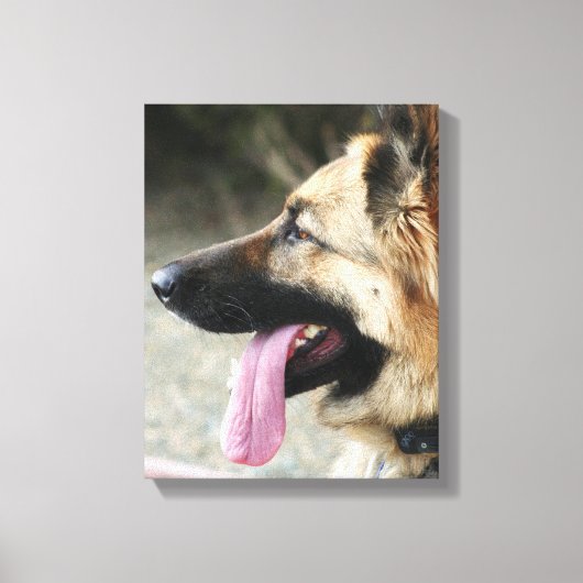 Duitse herder galerij wrap canvas print (Voorkant)