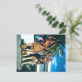 Duitse herder groep briefkaart (Staand voorkant)