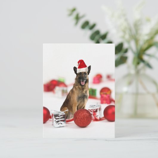 Duitse herder hond een kerstcadeaus Santa Hat Feestdagenkaart (Staand voorkant)