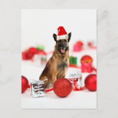Duitse herder hond een kerstcadeaus Santa Hat Feestdagenkaart (Voorkant)