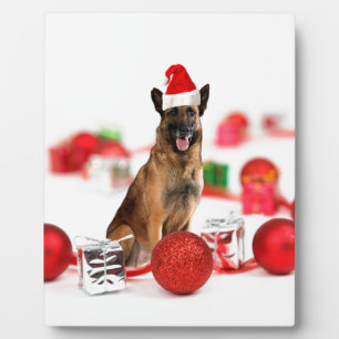 Duitse herder hond een kerstcadeaus Santa Hat Fotoplaat