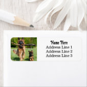 Duitse Herder Hond en Puppy Retouradres Etiket (Insitu)