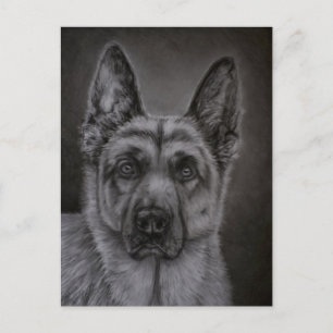 Duitse Herder Hond Kunst - Noble Briefkaart