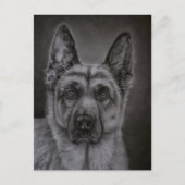 Duitse Herder Hond Kunst - Noble Briefkaart (Voorkant)