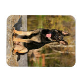 Duitse herder hond puppy magneet (Horizontaal)