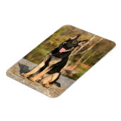Duitse herder hond puppy magneet (Linkerzijde)