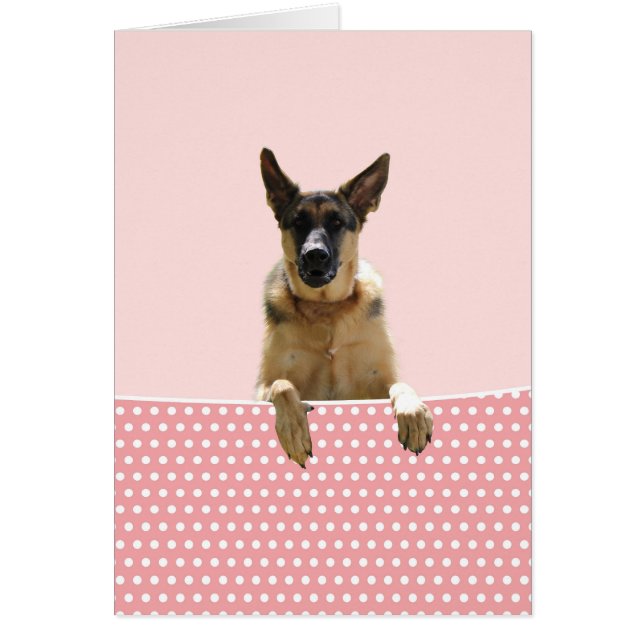 Duitse herder hond roze polka stippen (Voorkant)