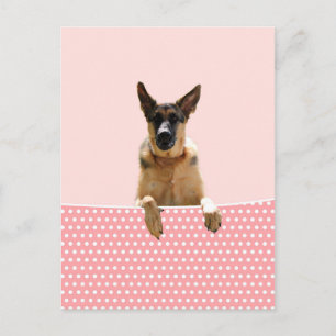 Duitse herder hond roze polka stippen briefkaart