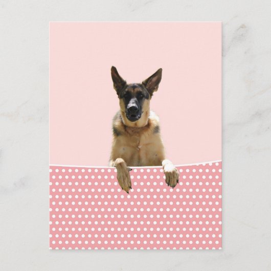 Duitse herder hond roze polka stippen briefkaart (Voorkant)
