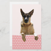 Duitse herder hond roze polka stippen briefpapier (Voorkant / Achterkant)