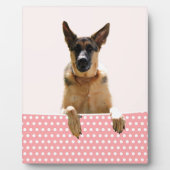 Duitse herder hond roze polka stippen fotoplaat (Voorkant)