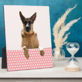 Duitse herder hond roze polka stippen fotoplaat (Zijkant)