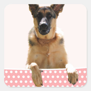Duitse herder hond roze polka stippen vierkante sticker