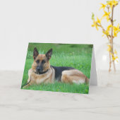 Duitse herder - Hond Wenskaart Kaart (Gele Bloem)