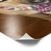 Duitse herder hond zwart & tan onvoorwaardelijke l foto afdruk (Hoek)