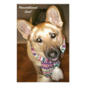 Duitse herder hond zwart & tan onvoorwaardelijke l foto afdruk (Voorkant)