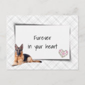 Duitse Herder Huisdier Sympathie Verlies Briefkaart (Voorkant)