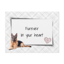 Duitse Herder Huisdier Sympathie Verlies