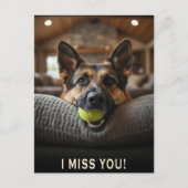 Duitse Herder Ik Mis Jou Ansichtkaart Briefkaart (Voorkant)