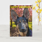 Duitse herder in de kaart van de parkverjaardag (Gele Bloem)