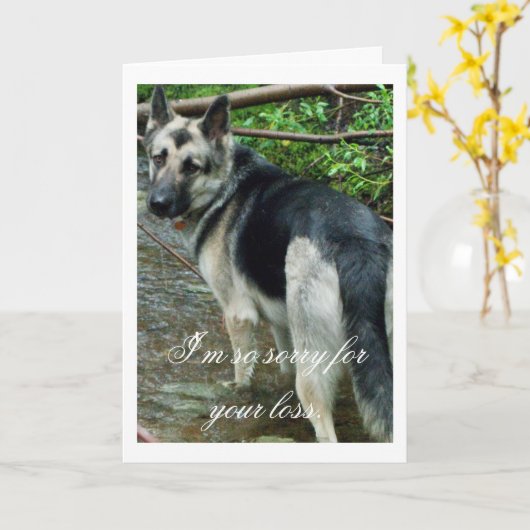 Duitse herder in de Kreek; Sympathie Kaart (Gele Bloem)