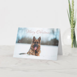 Duitse herder in de sneeuw met kerst kaart