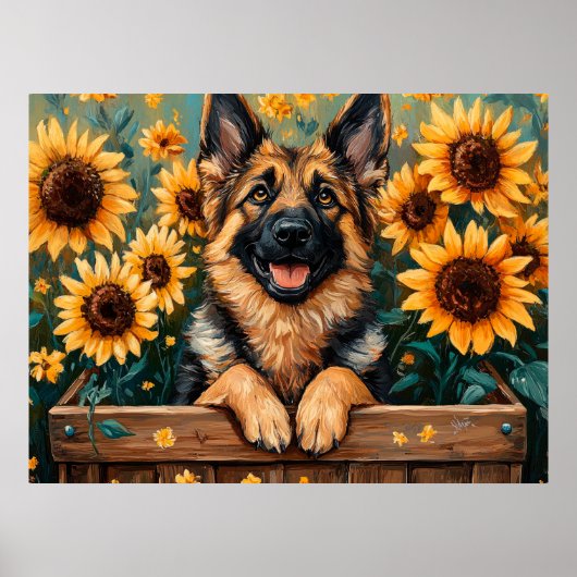 Duitse herder in een vat poster (Voorkant)