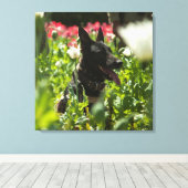 Duitse herder in een veld canvas afdruk (Insitu (Houten vloer))