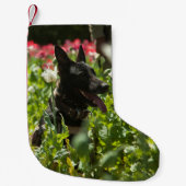 Duitse herder in een veld kleine kerstsok (Voorkant)