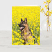 Duitse herder in het wenskaart van het mosterdzaad kaart (Gele Bloem)